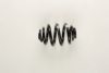 BMW 1091080 Coil Spring